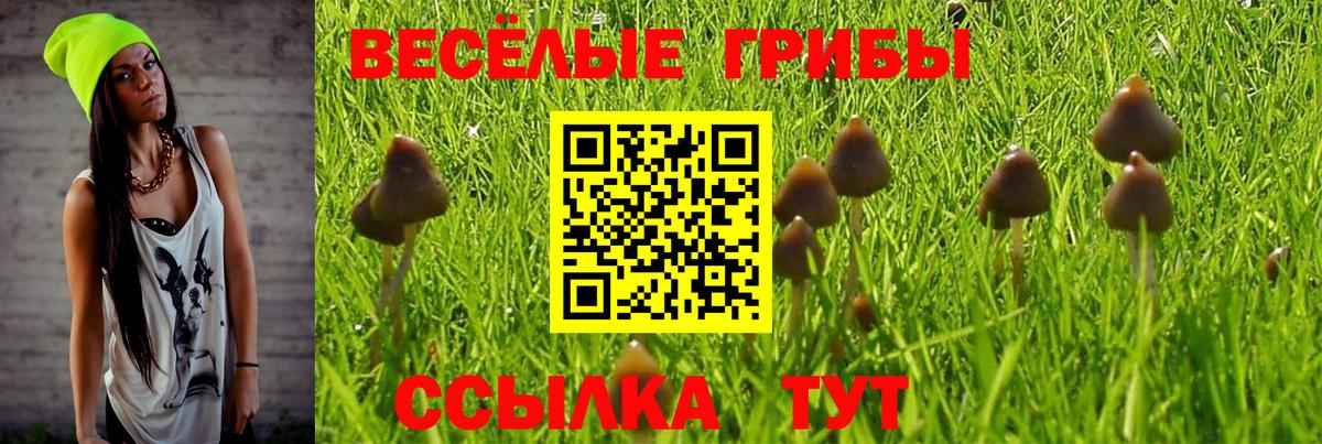 Галлюциногенные грибы мухоморы  Вход с VPN  Великие Луки  Псилоцибиновые грибы Magic Shrooms 