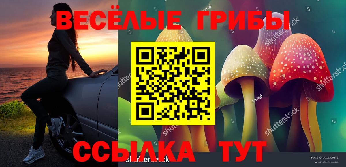Псилоцибиновые грибы прущие грибы Великие Луки